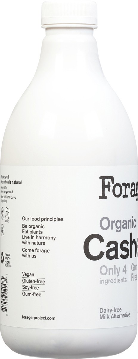 slide 7 of 9, Forager Project Cashew Milk Vegan Unsweet Organic, 48 fl oz