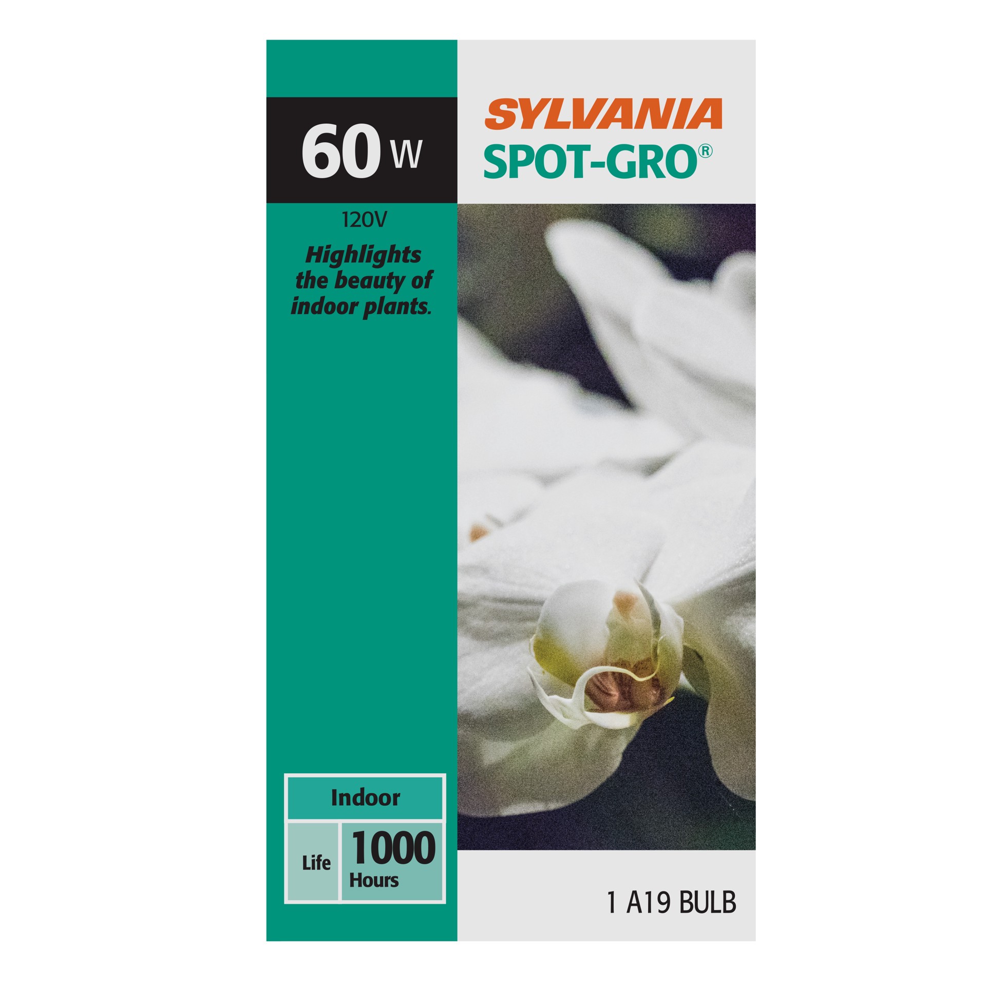 slide 1 of 1, Sylvania 60w Spot Gro Bulb, 1 ct