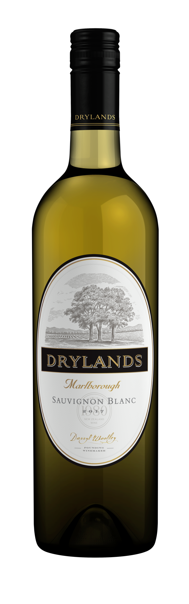 slide 1 of 2, Drylands Sauvignon Blanc, 25.36 fl oz