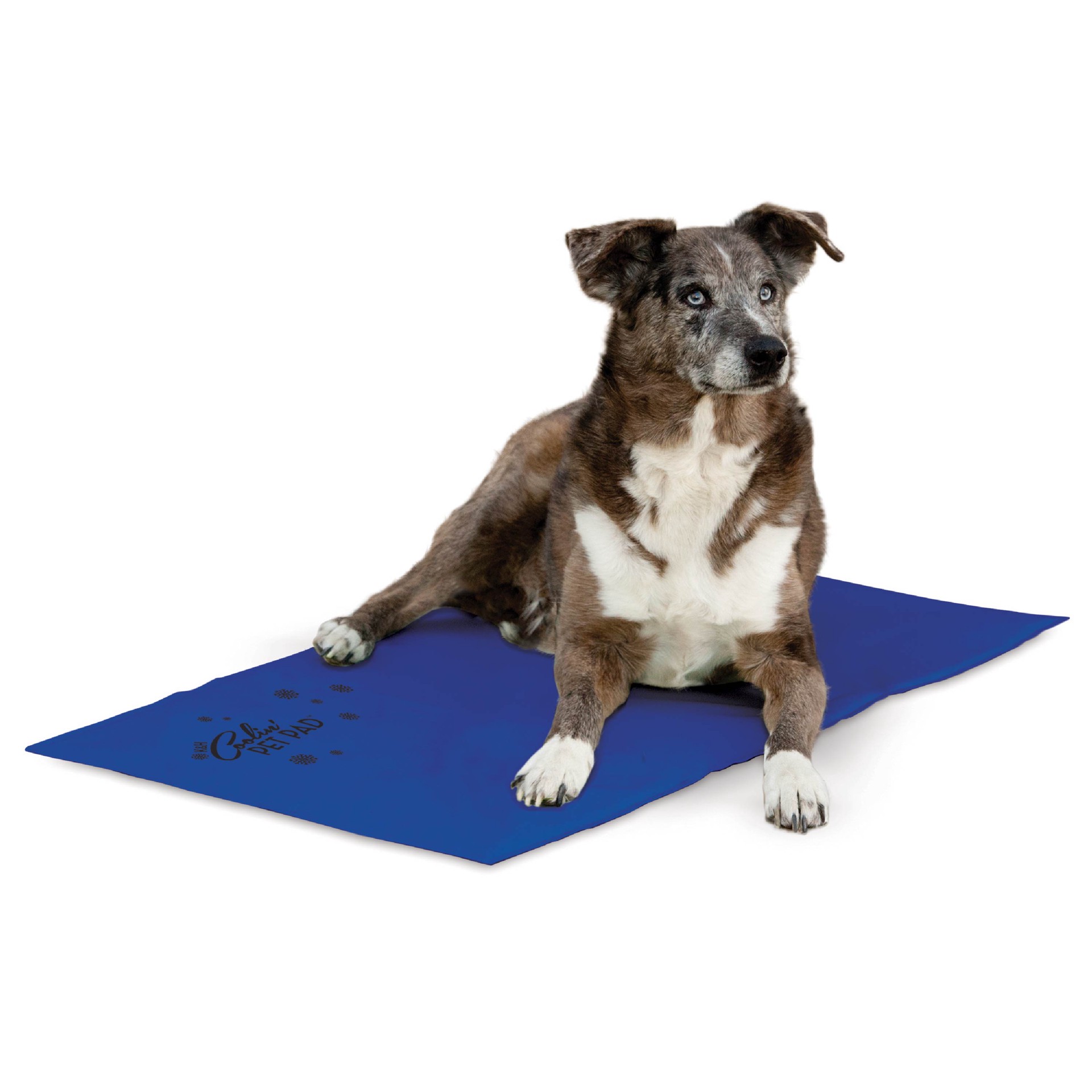 slide 1 of 9, K & H K&H Pet Products Coolin' Pet Pad Blue X-Large 27 X 38 Inches, 38 in