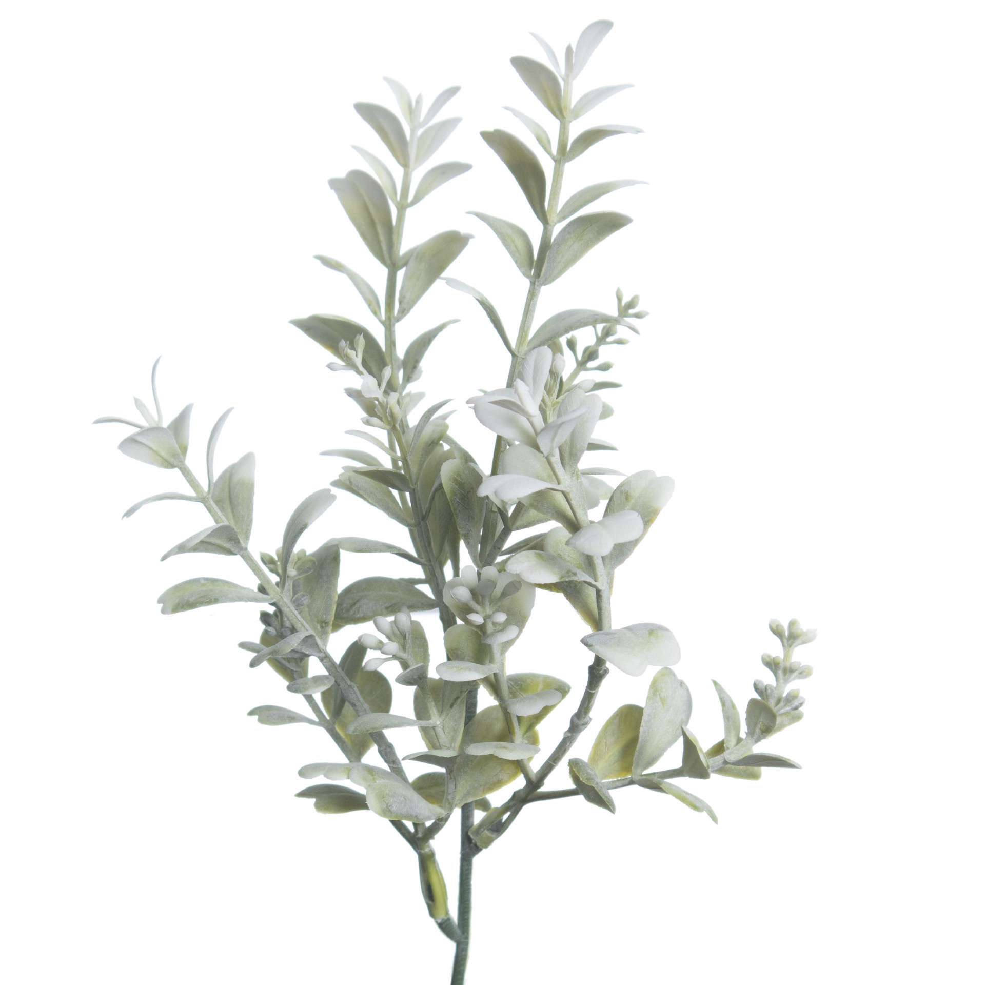 slide 3 of 3, 12" Green & Cream Boxwood Pick By Ashland, 4 in x 2 in x 12 in