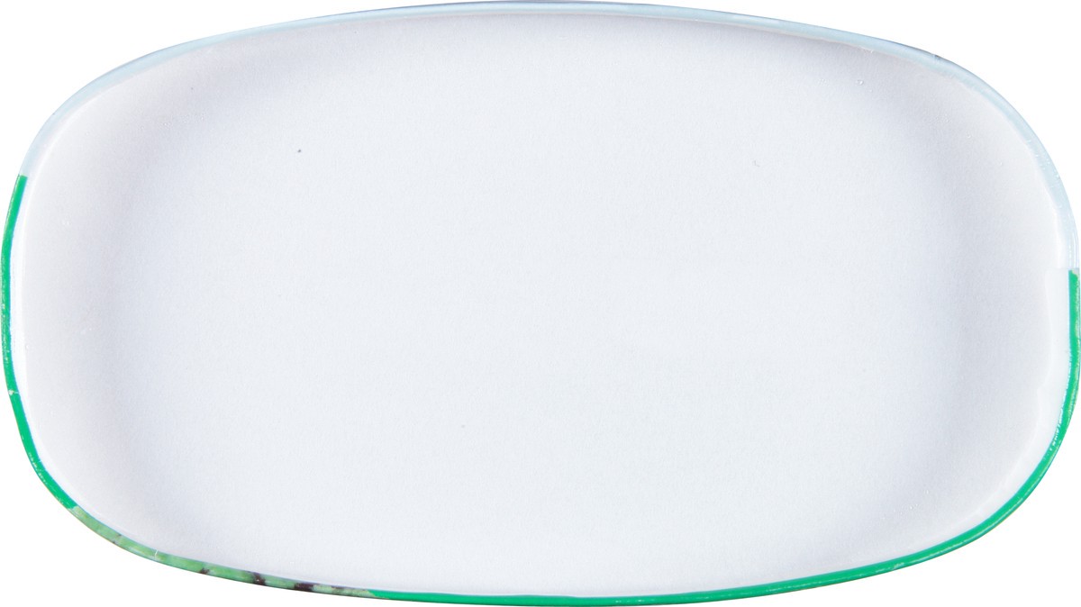 slide 4 of 9, Blue Ribbon Classics Mint Chocolate Chip Frozen Dessert, 48 fl oz, 48 fl oz