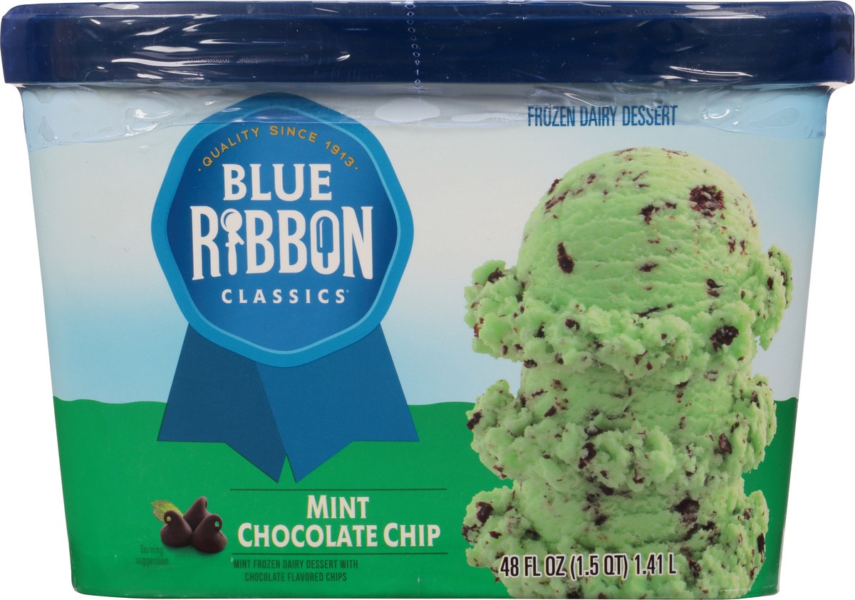 slide 3 of 9, Blue Ribbon Classics Mint Chocolate Chip Frozen Dessert, 48 fl oz, 48 fl oz