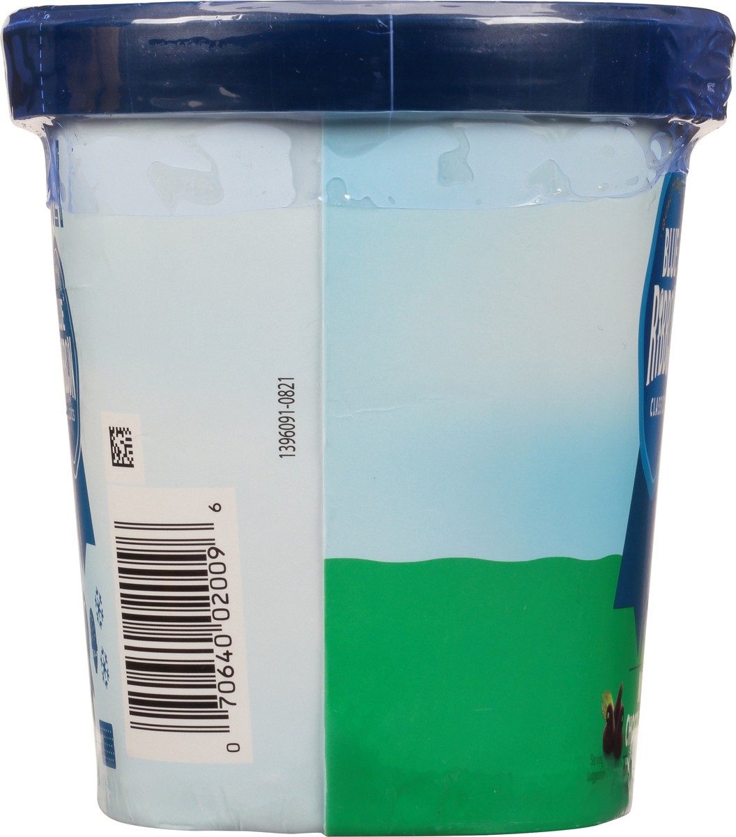 slide 8 of 9, Blue Ribbon Classics Mint Chocolate Chip Frozen Dessert, 48 fl oz, 48 fl oz