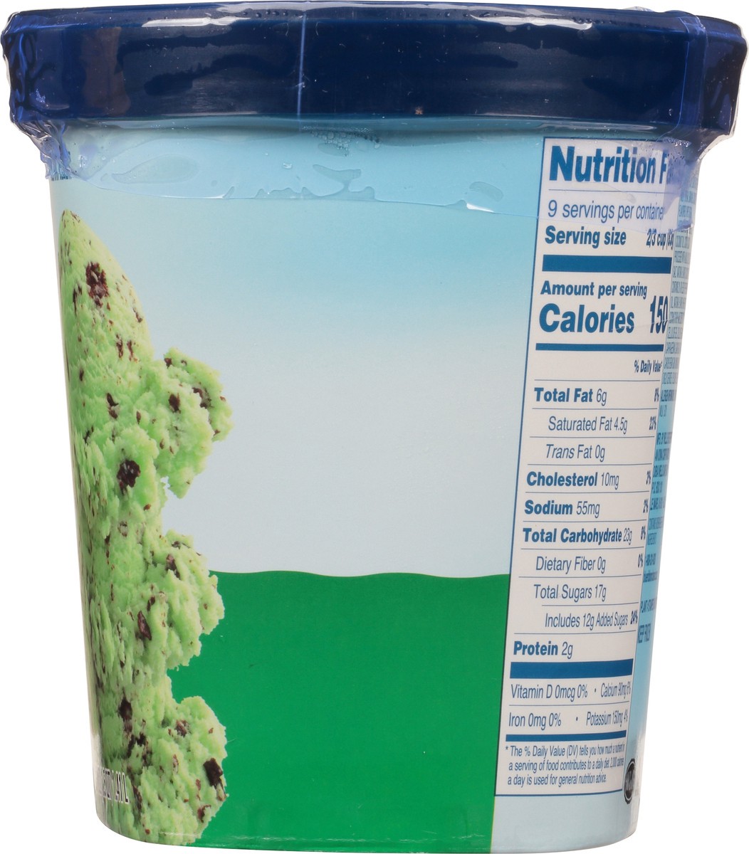 slide 6 of 9, Blue Ribbon Classics Mint Chocolate Chip Frozen Dessert, 48 fl oz, 48 fl oz