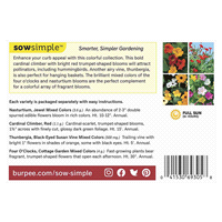 slide 5 of 5, Burpee Mailbox & Lamppost Garden Seeds, 1 ct