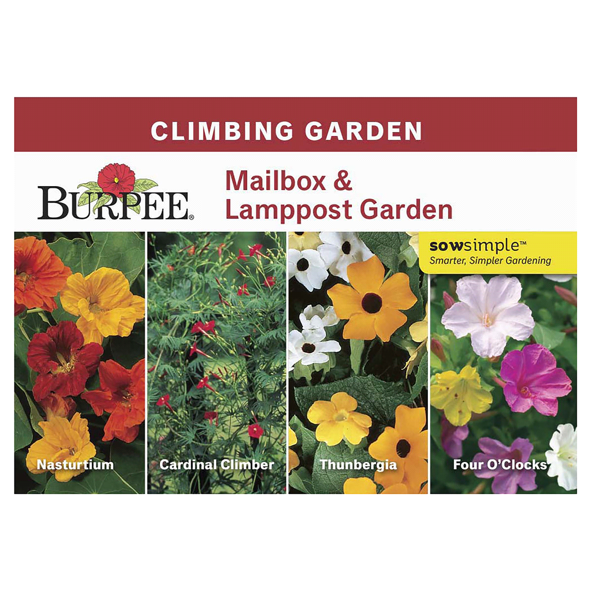 slide 1 of 5, Burpee Mailbox & Lamppost Garden Seeds, 1 ct