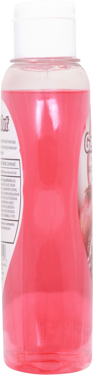 slide 8 of 11, GermOut Antibacterial Pomegranate Hand Soap 11 fl oz, 11 fl oz