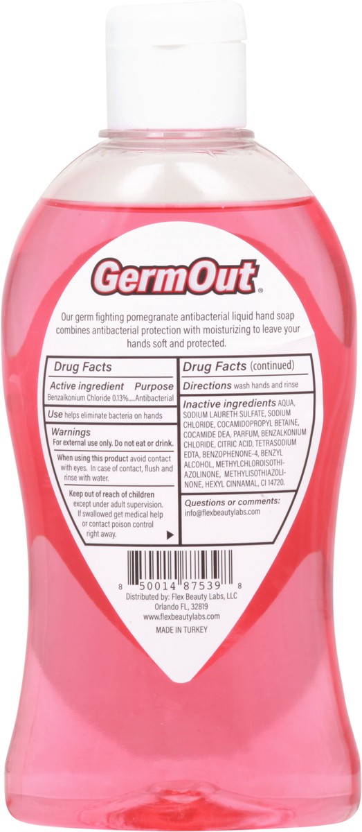 slide 6 of 11, GermOut Antibacterial Pomegranate Hand Soap 11 fl oz, 11 fl oz