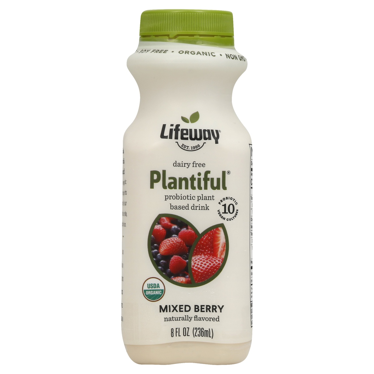 slide 1 of 1, Lifeway Organic Dairy Free Plantiful Mixed Berry, 8 oz