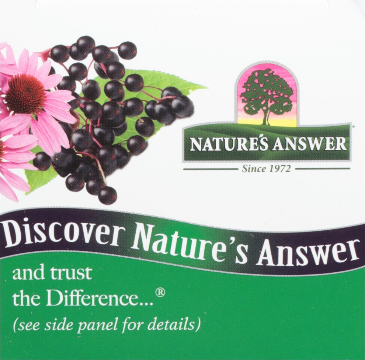 slide 4 of 13, Nature's Answer Natans Sambucus Immune, 8 fl oz