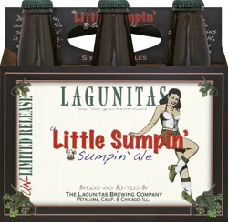 Lagunitas Beer 6 ea