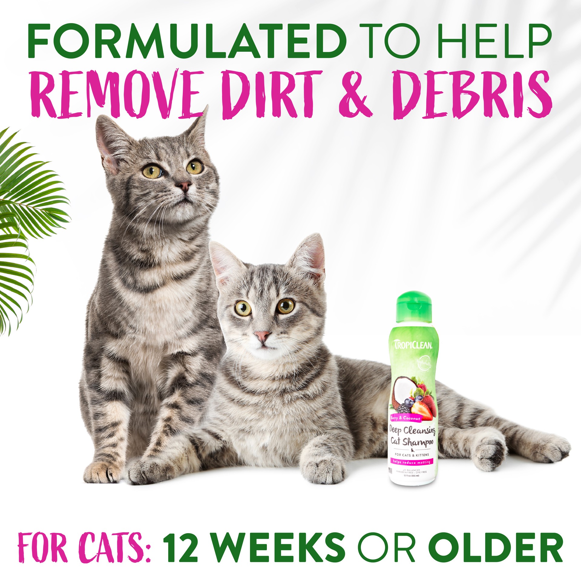 TropiClean Berry & Coconut Deep Cleansing Shampoo for Cats & Kittens