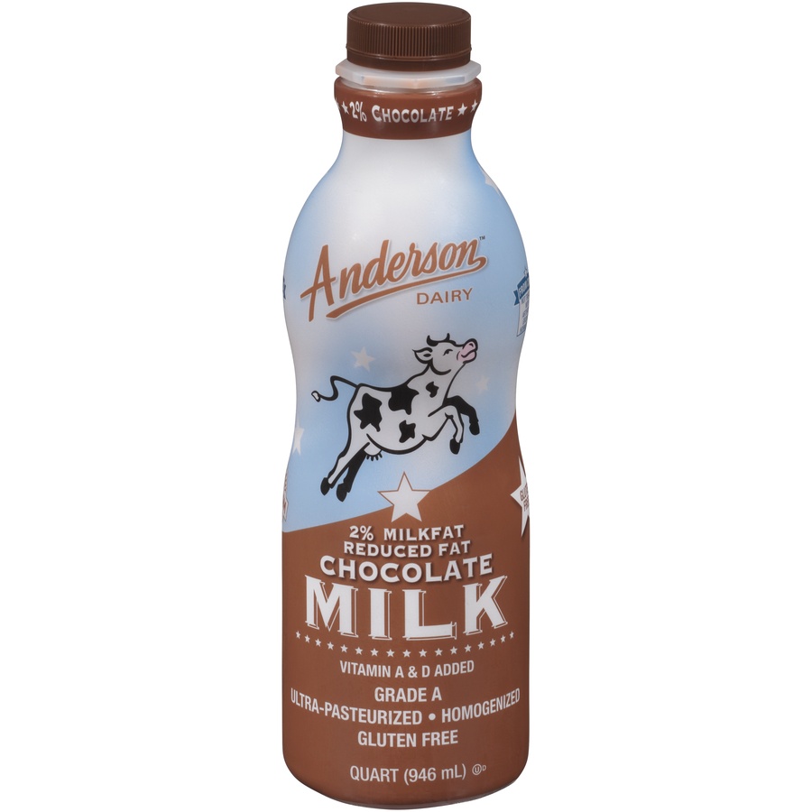 slide 1 of 1, AE Dairy 2% Reduced Fat Chocolate Milk, 32 oz