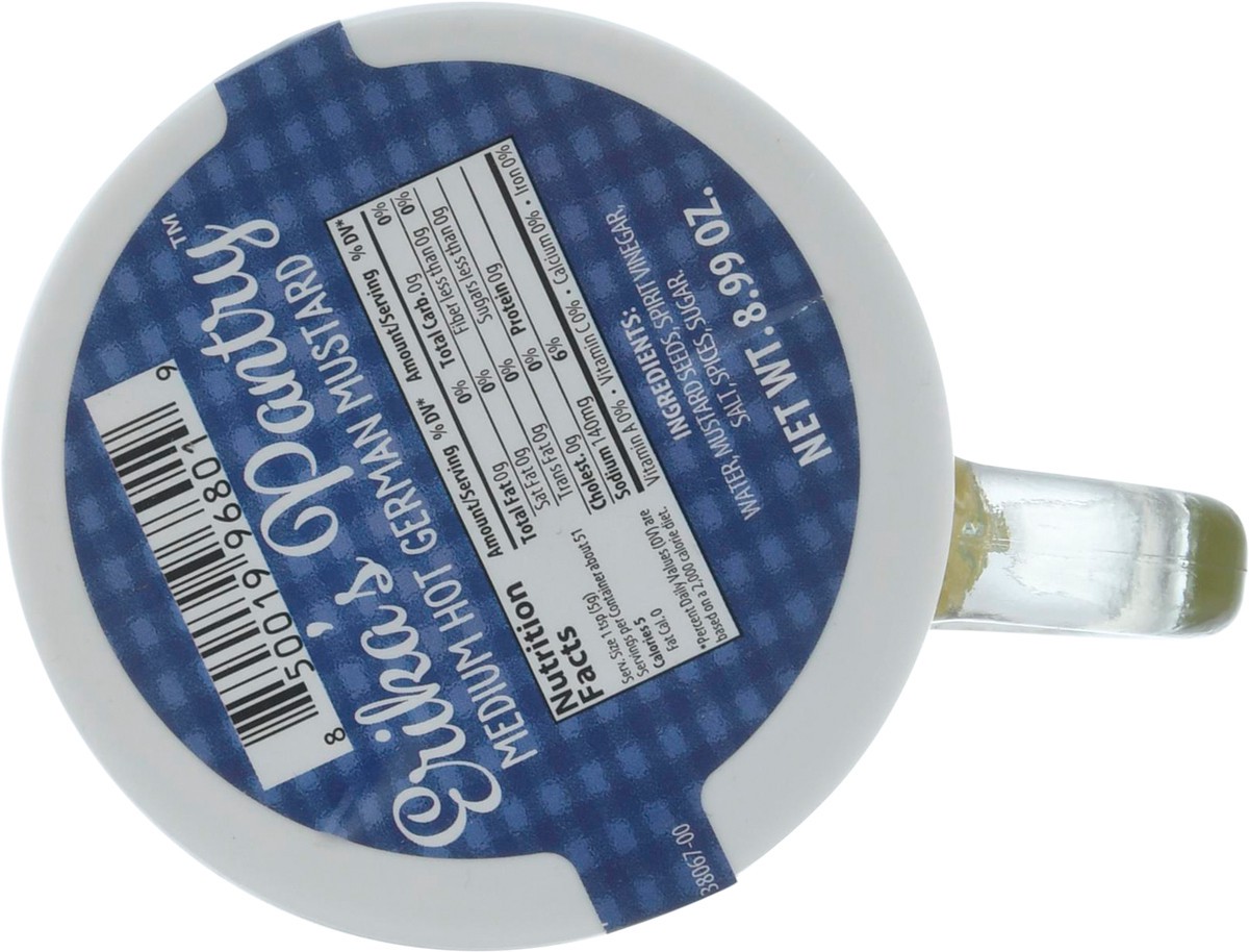 slide 2 of 13, Erika's Pantry Medium Hot Mustard Mug, 8.99 oz