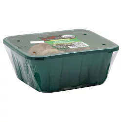 Giorgio Organic Shiitake Mushrooms