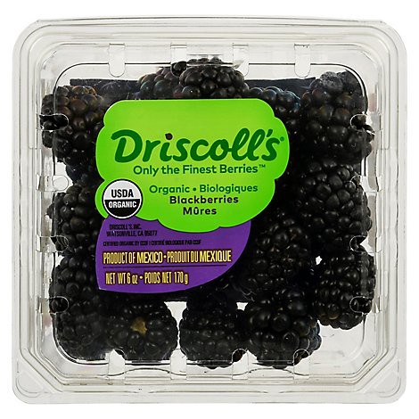 slide 1 of 1, Organic Blackberries, 6 oz