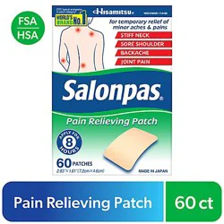Salonpas Pain Relieving Patch - 60 Count