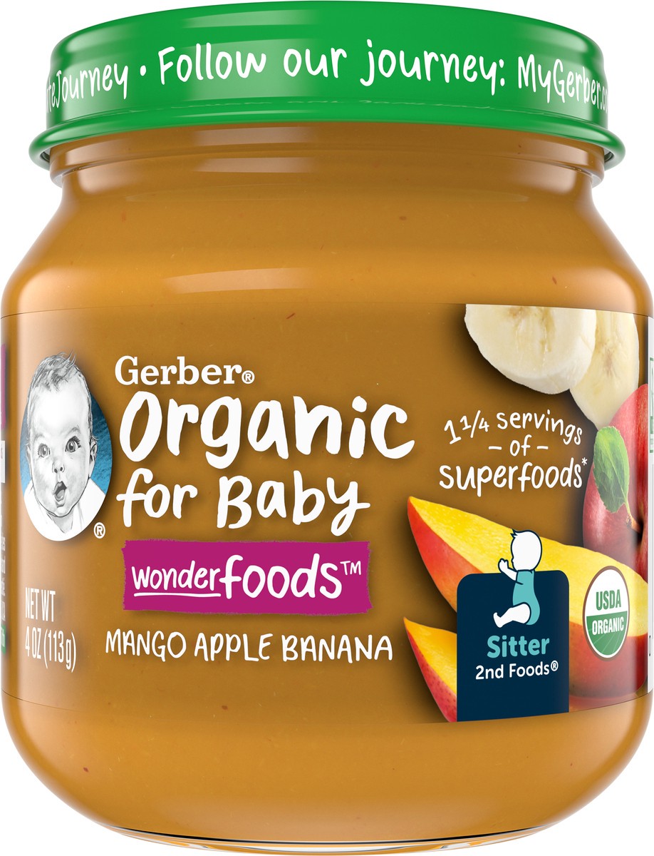 slide 3 of 9, Gerber 2nd Foods Organic Mango Apple Banana Baby Food, 4 oz Jars, 10 Count, 4 oz