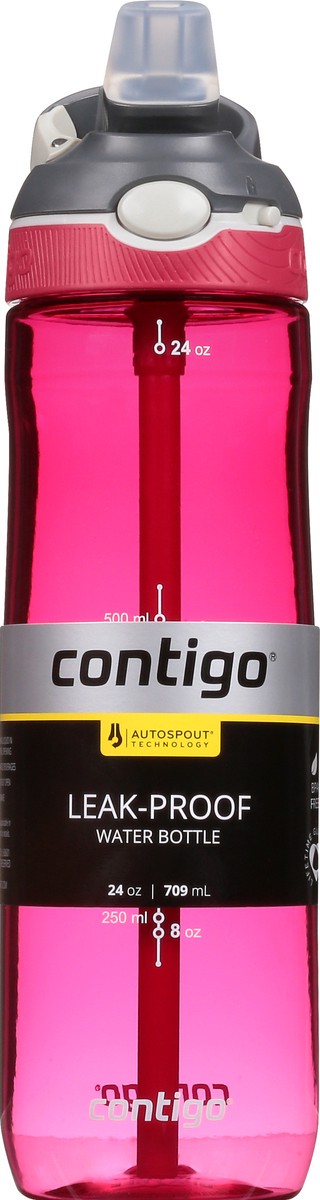 slide 2 of 11, Contigo Autospout Leak-Proof Ashland Sangria 24 Ounce Water Bottle 1 ea, 1 ct