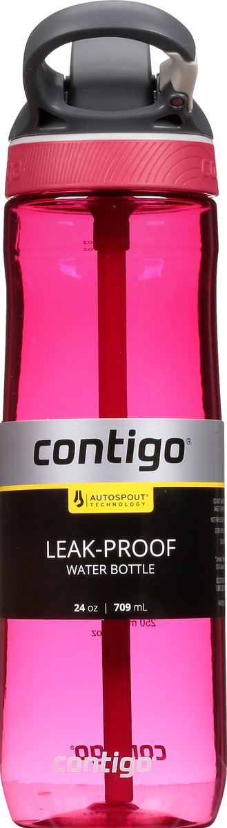 slide 4 of 11, Contigo Autospout Leak-Proof Ashland Sangria 24 Ounce Water Bottle 1 ea, 1 ct