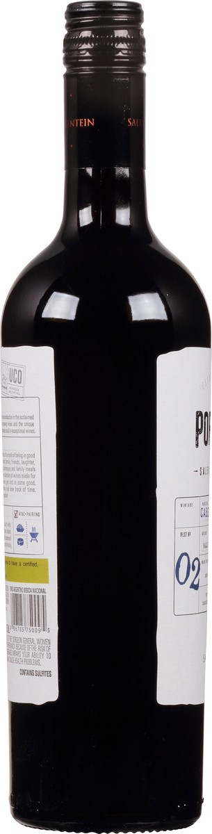 slide 5 of 7, Portillo Cabernet Sauvignon, 750ml, 750 ml