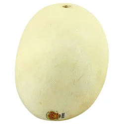 Honeydew Melon
