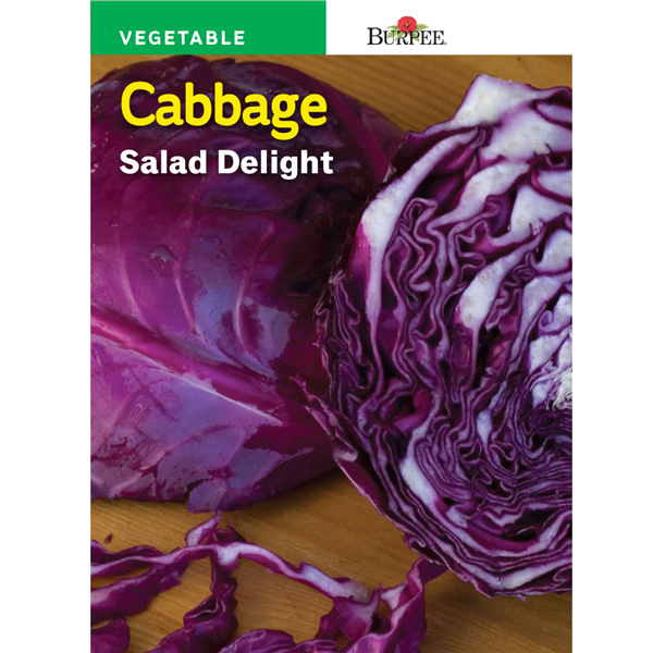 slide 1 of 1, Burpee Cabbage Salad Delight Seeds, 1 ct