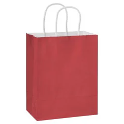 American Greetings Medium Red Gift Bag for All Occasions