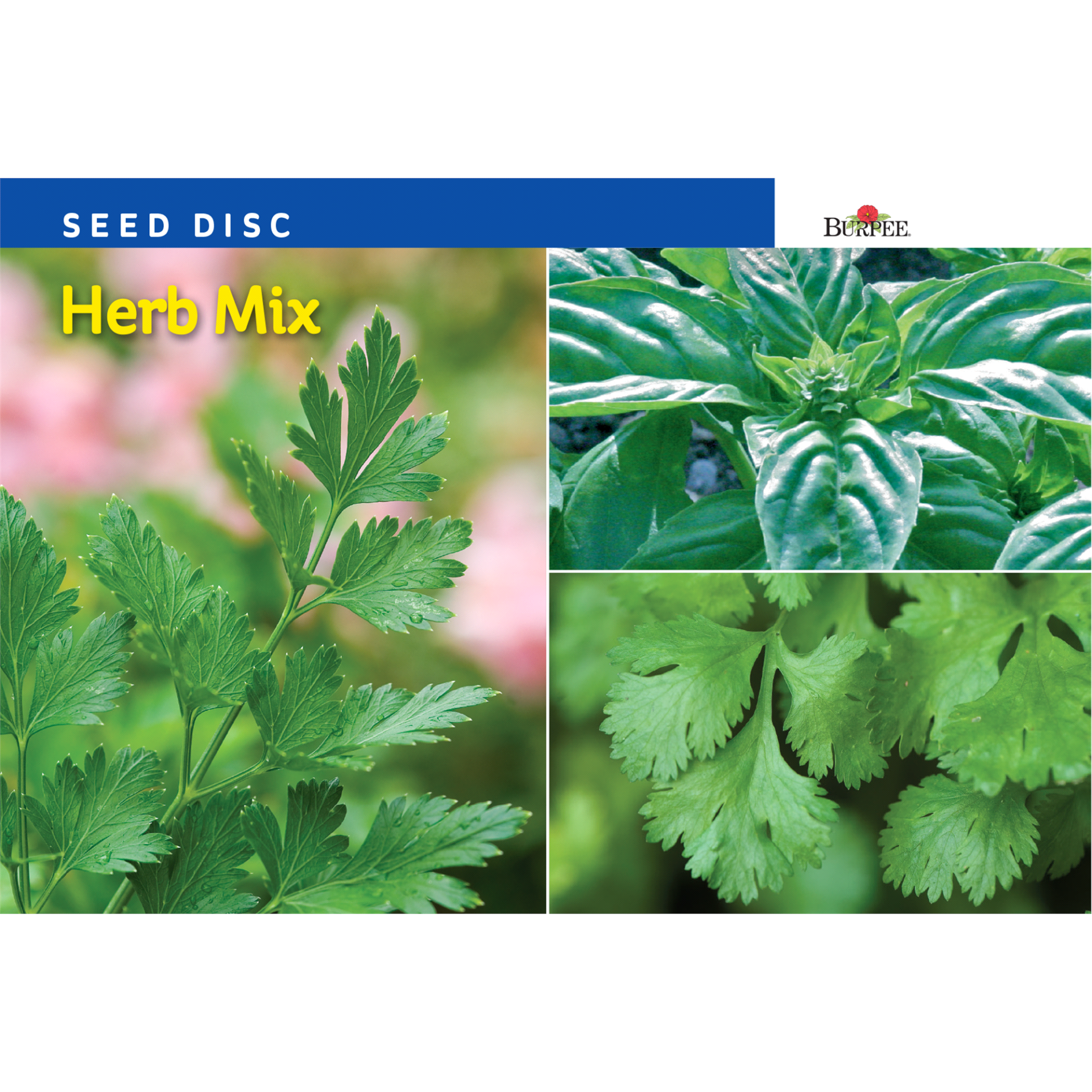 slide 1 of 1, Burpee Seed Disc Herb Mix Seeds, 1 ct