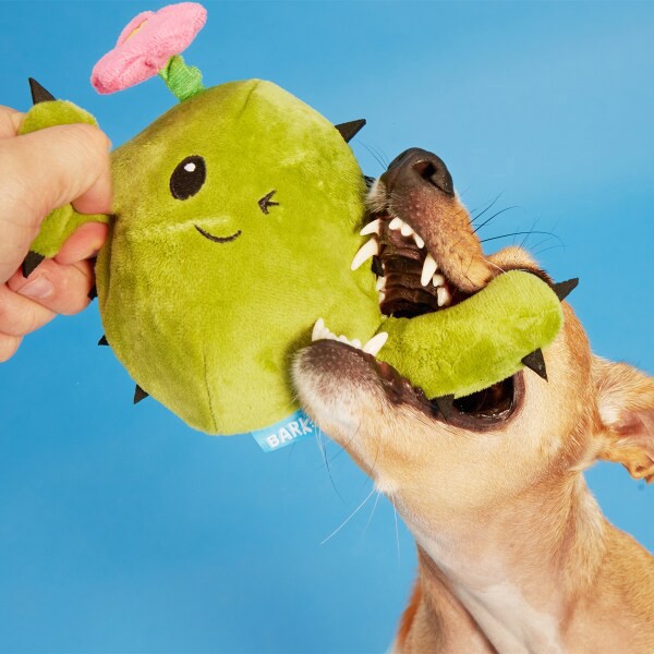 slide 3 of 5, Bark Consuela The Cactus Green Plush, 1 ct