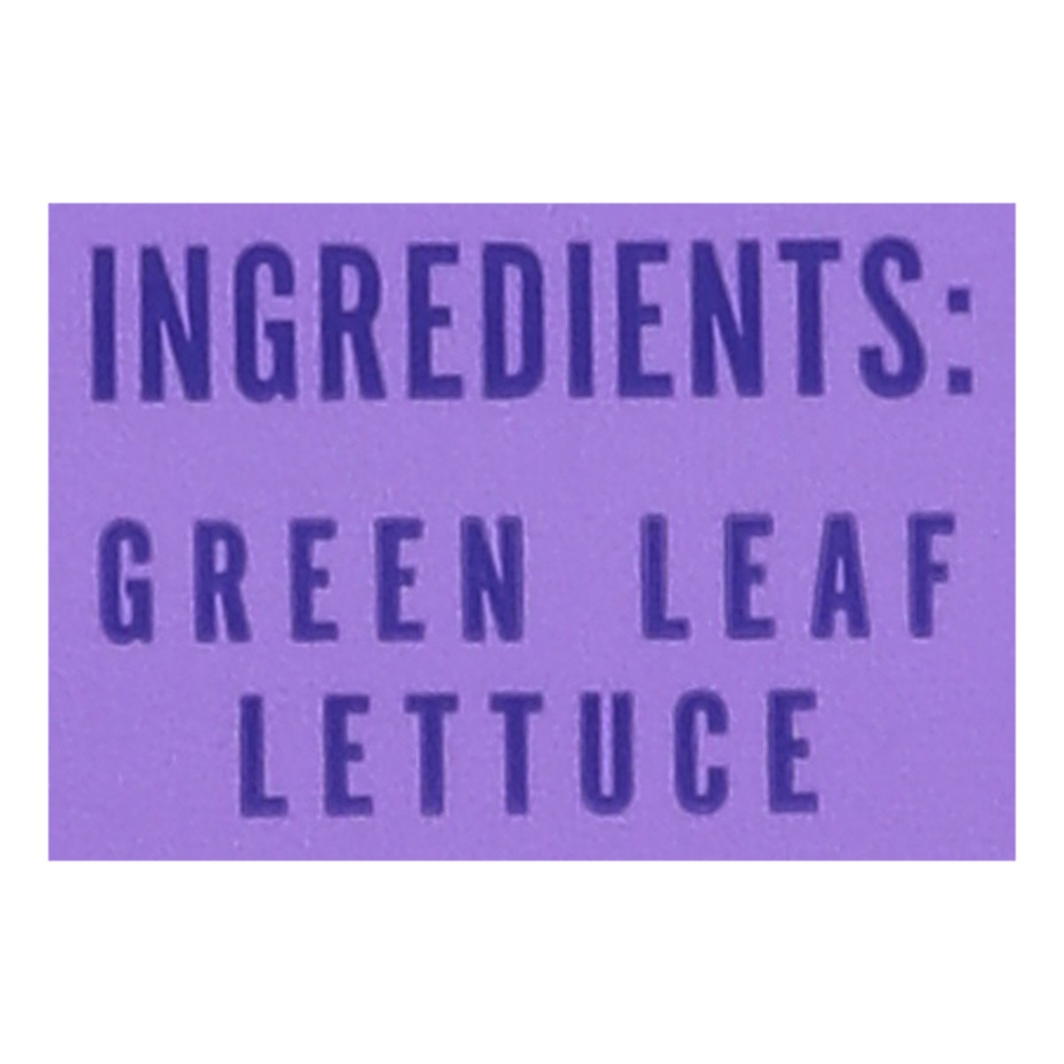slide 8 of 10, Little Leaf Farms Sweet Baby Butter Leaf Lettuce 4 oz, 4 oz
