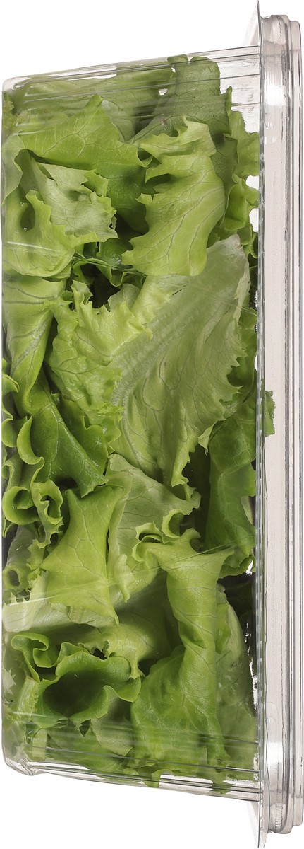 slide 4 of 10, Little Leaf Farms Sweet Baby Butter Leaf Lettuce 4 oz, 4 oz