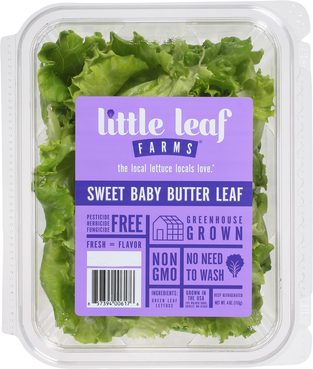 Little Leaf Farms Butter Leaf Sweet Baby Lettuce 4 oz 4 oz