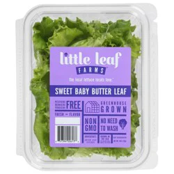 Little Leaf Farms Sweet Baby Butter Leaf Lettuce 4 oz