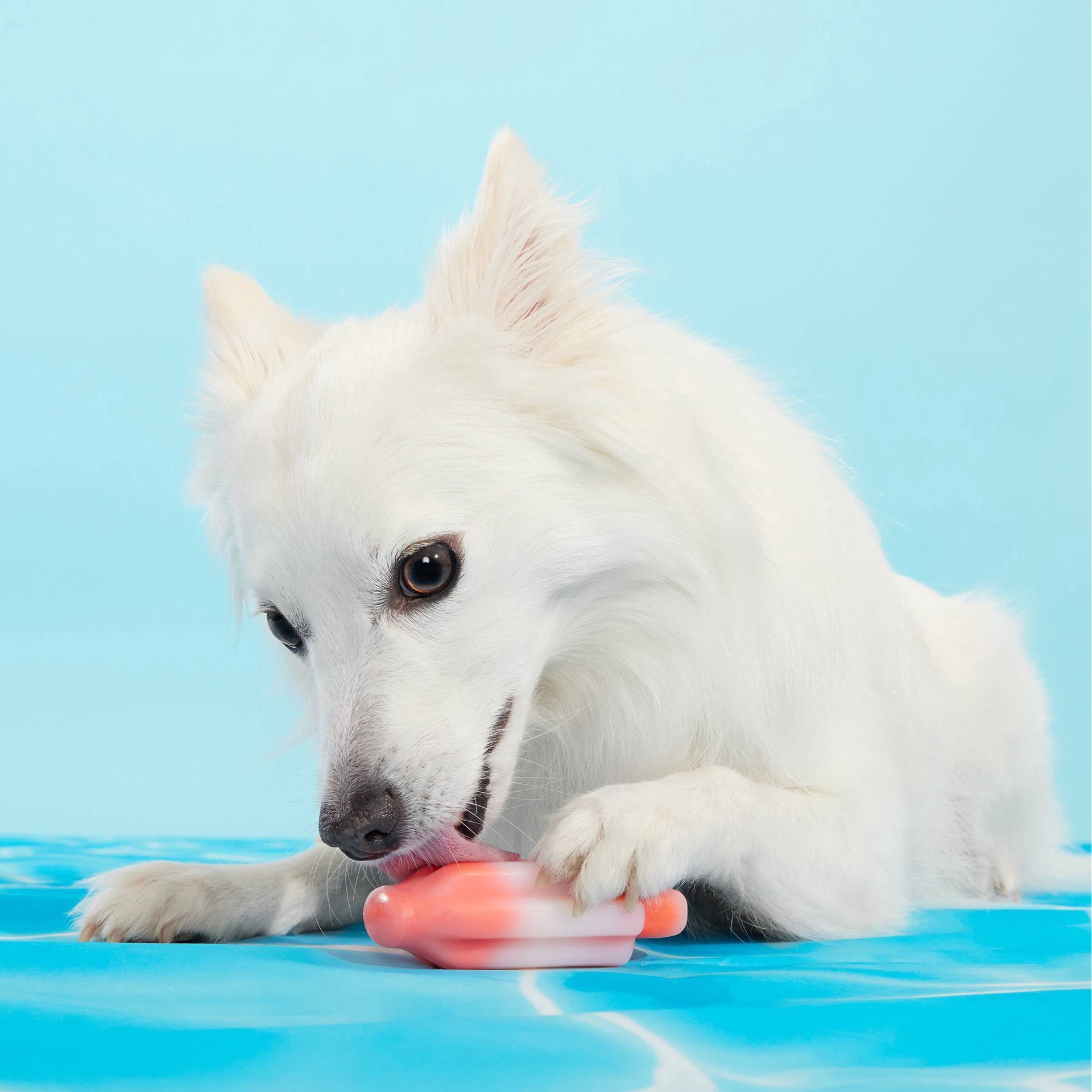 slide 7 of 7, BARK Cherry Blasto Pop Dog Toy, 1 ct