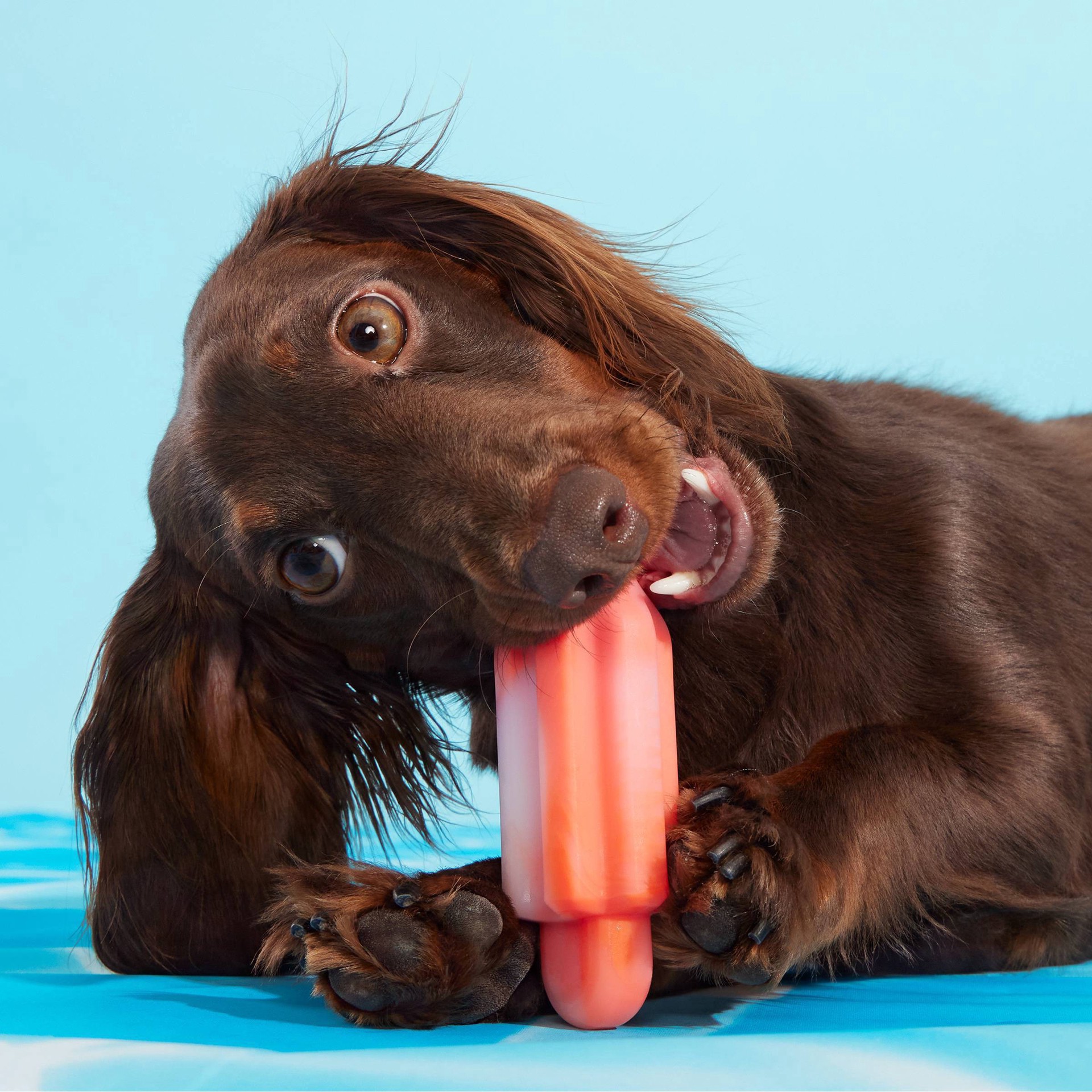 slide 3 of 7, BARK Cherry Blasto Pop Dog Toy, 1 ct