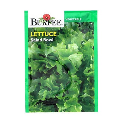 slide 1 of 1, Burpee Salad Bowl Lettuce Seeds, 1 ct