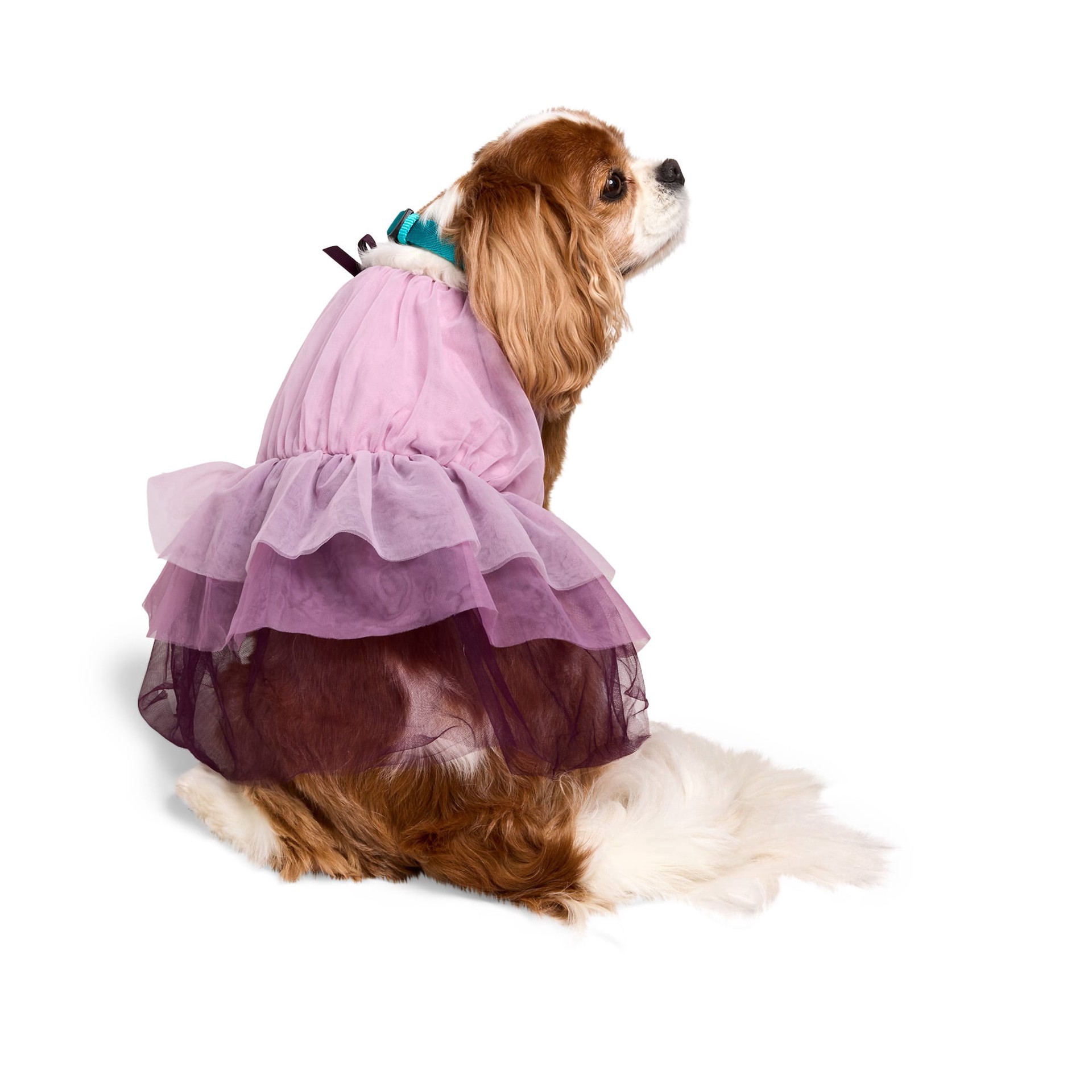 slide 1 of 1, YOULY Ruffle Dress for Dogs, XX-Small, Purple, xx-small