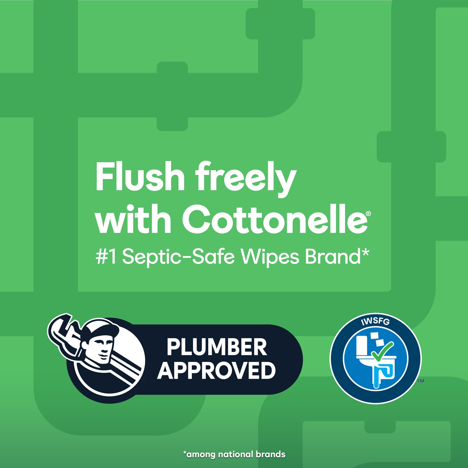 slide 2 of 5, Cottonelle GentlePlus Flushable Wet Wipes with Aloe & Vitamin E, Adult Wet Wipes, 8 Flip-Top Packs, 42 Wipes Per Pack (336 Total Wipes), 8 ct