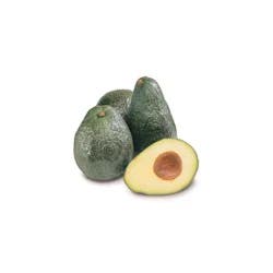 Avocado