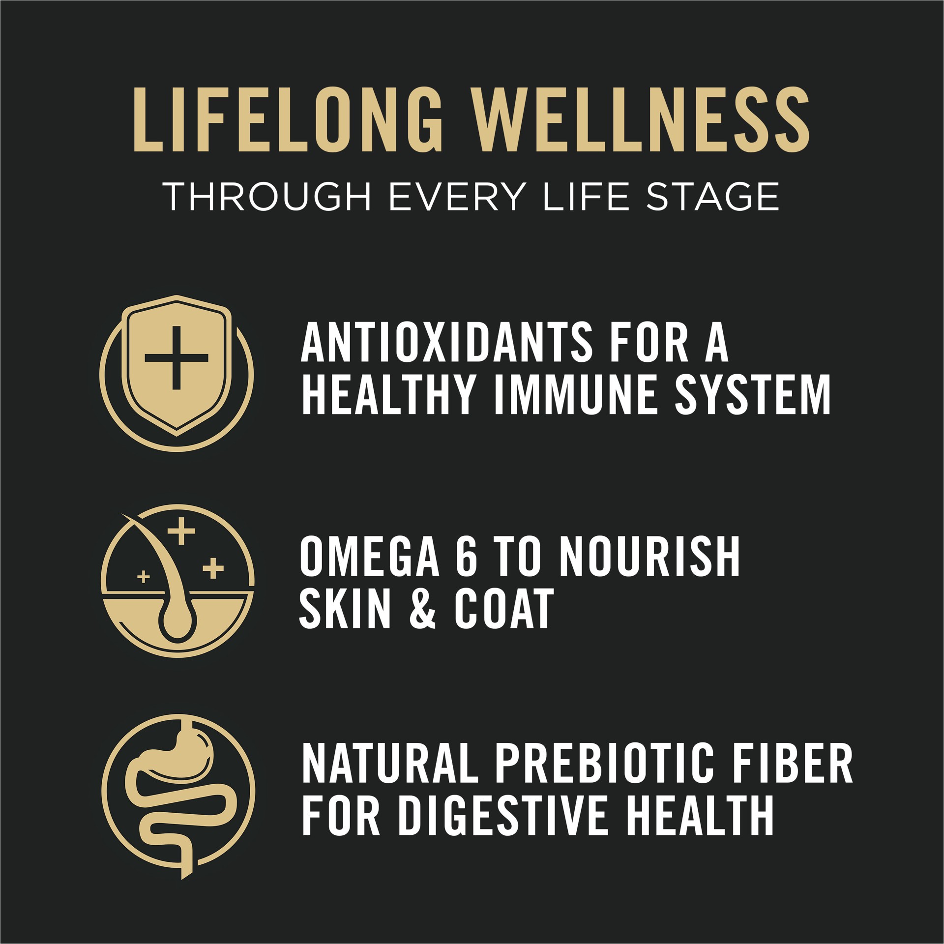 slide 9 of 9, Purina Pro Plan All Life Stages High Protein Cat Food Chicken and Rice Dry Kibble, 12.50 lb