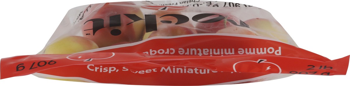 slide 9 of 12, Apple Rockit Apples Bagged, 2 lb