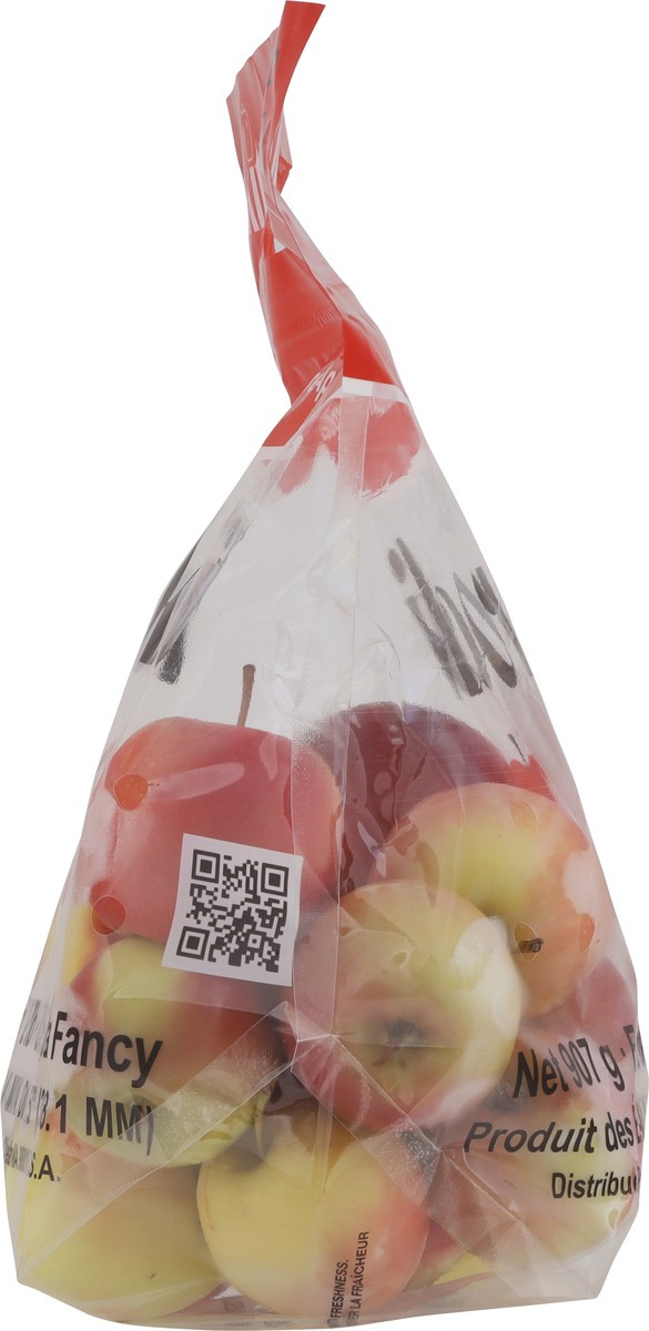 slide 11 of 12, Apple Rockit Apples Bagged, 2 lb