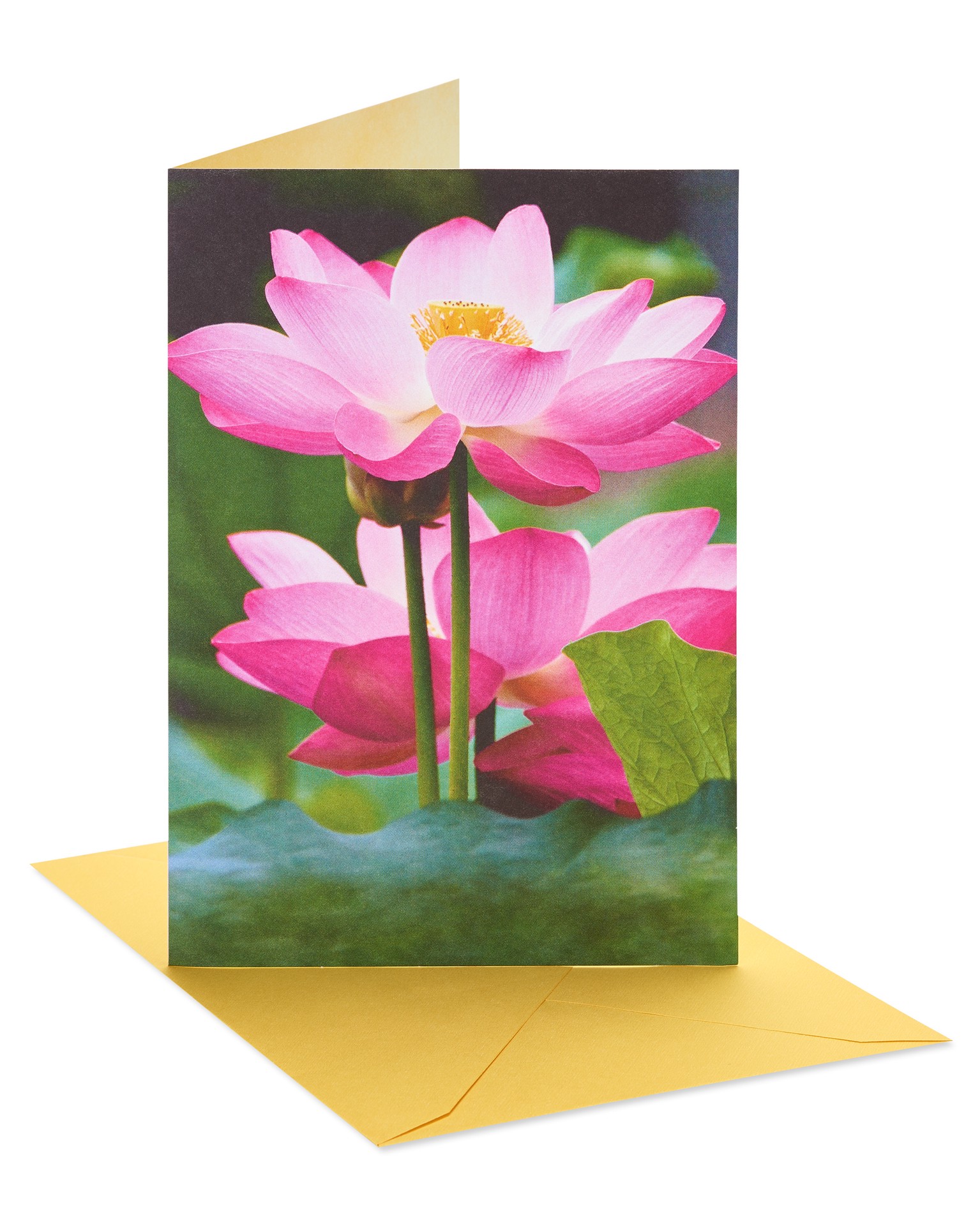 slide 5 of 5, American Greetings cards are a great way to connect with the people you care about. This gorgeous embellished photography design of a pink blossom with shining embellishments is a lovely way to add beauty to their day. Let them know you're thinking of them. Features 6 cards and 6 envelopes., 6 ct