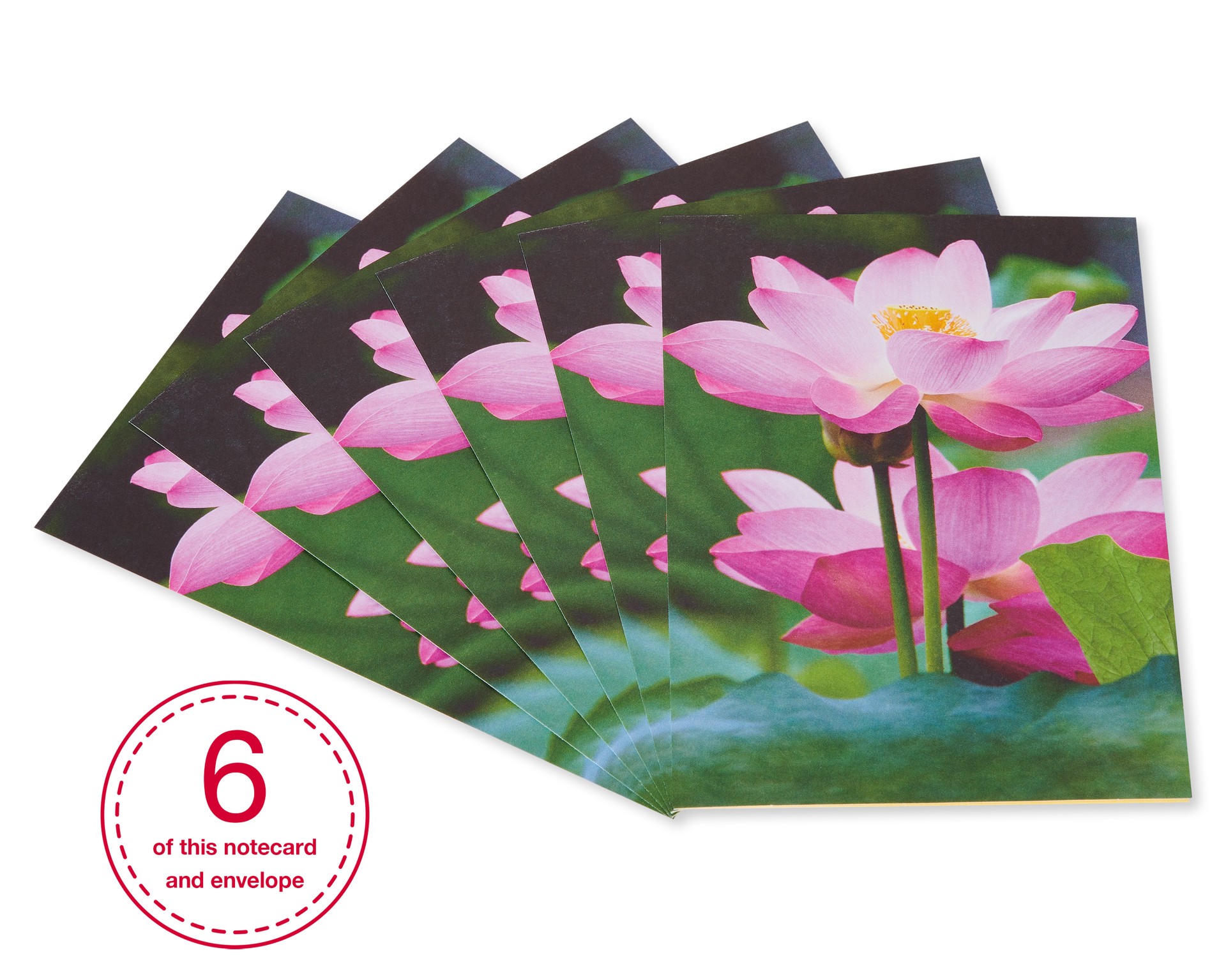 slide 1 of 5, American Greetings cards are a great way to connect with the people you care about. This gorgeous embellished photography design of a pink blossom with shining embellishments is a lovely way to add beauty to their day. Let them know you're thinking of them. Features 6 cards and 6 envelopes., 6 ct