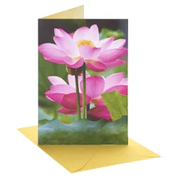 American Greetings Blank Card (Flower)