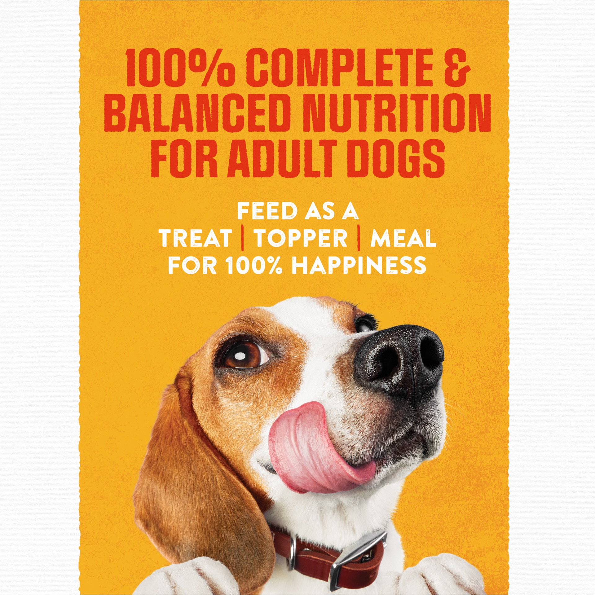 slide 4 of 9, Moist & Meaty Rise & Shine Wet Dog Food, 72 oz