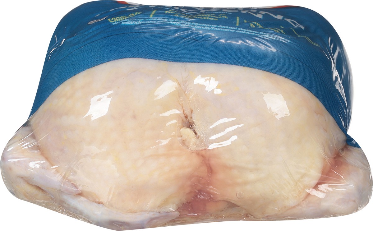 slide 11 of 12, Bell & Evans Premium Fresh Young Chicken 1 ea, per lb