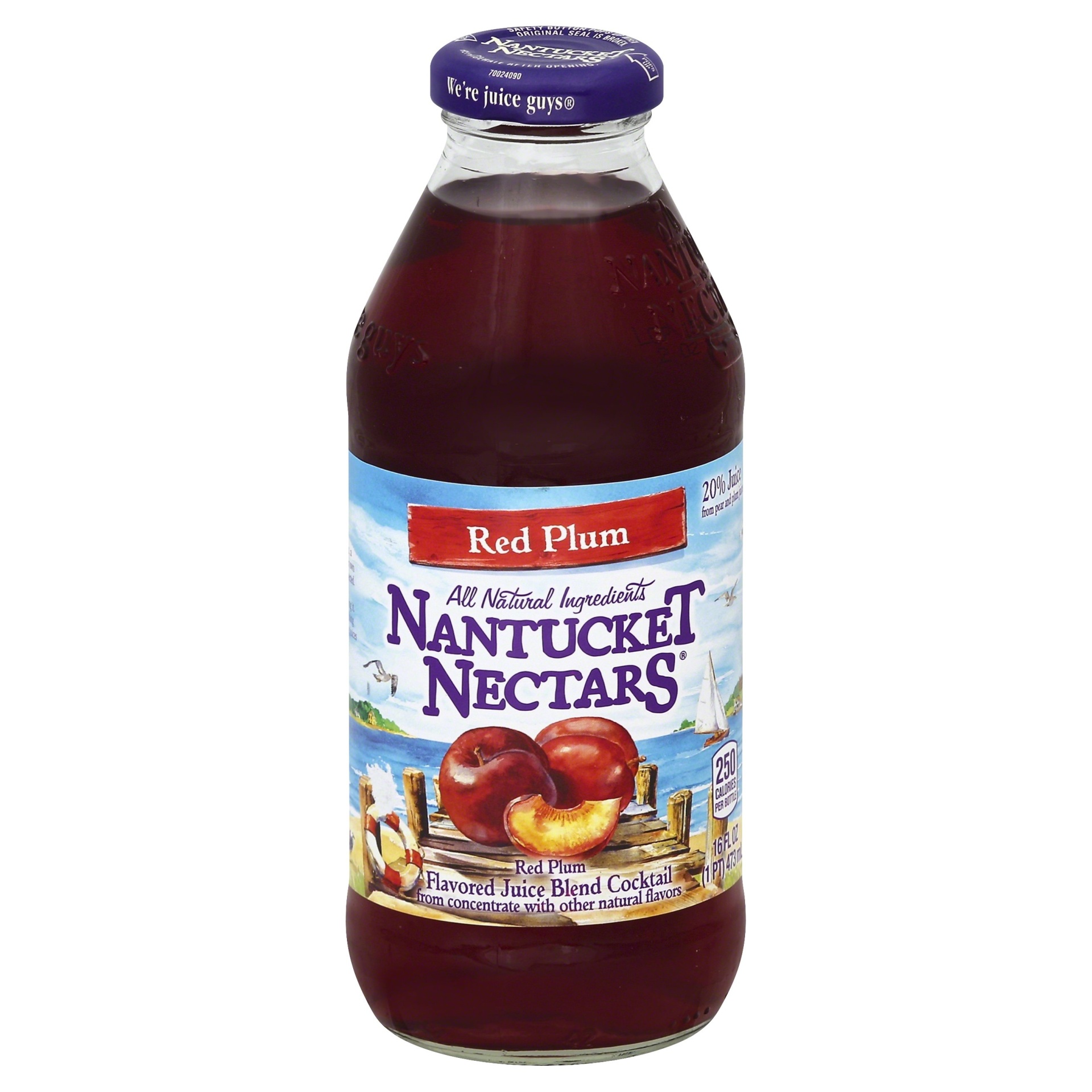 slide 1 of 2, Nantucket Nectars Juice Blend Cocktail Red Plum, 16 fl oz